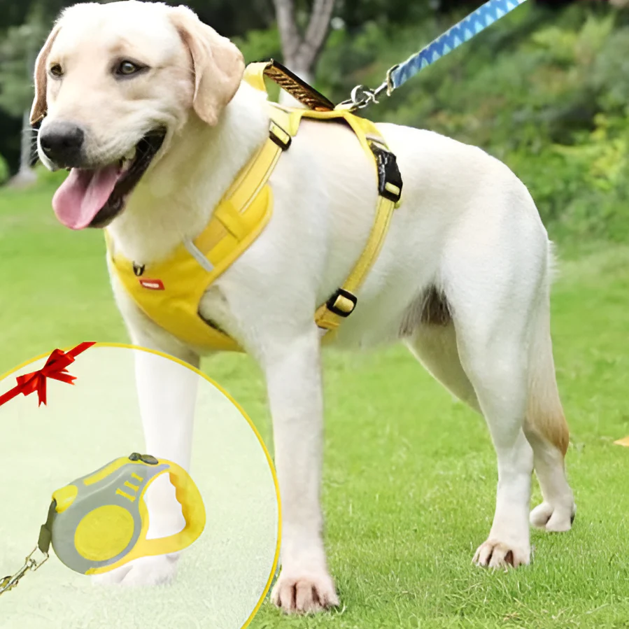Anti-Pull Dog Harness - FlexiFit - Image 6