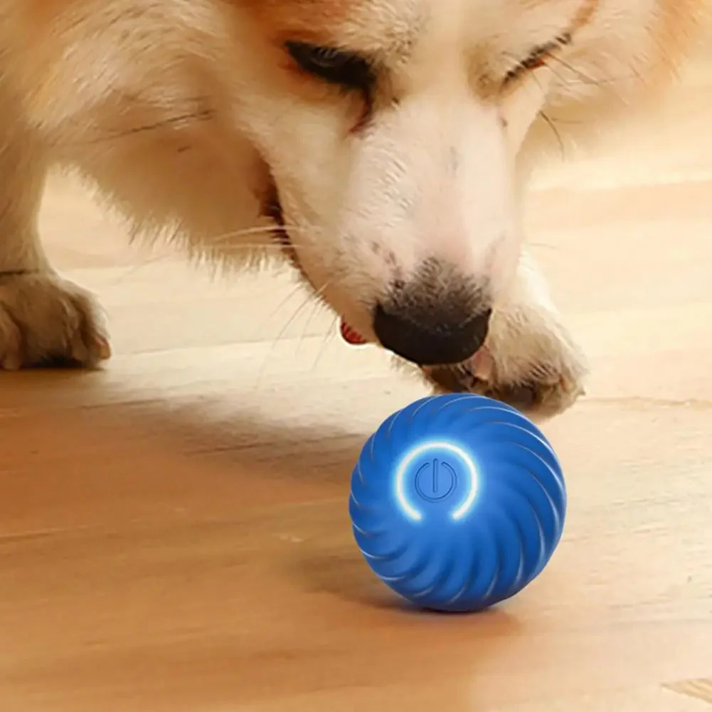 Automatic Interactive Dog Toy - RolliPlay - Image 3