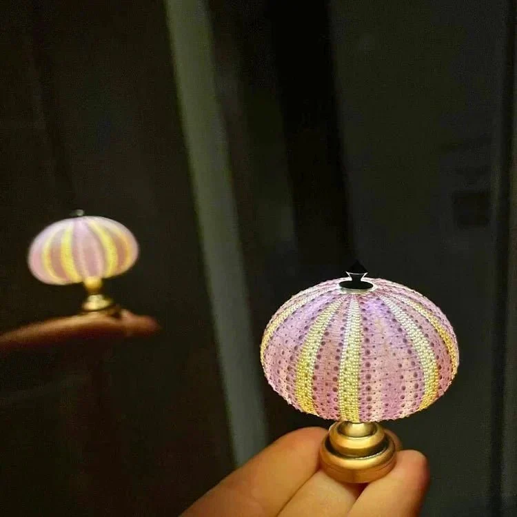 DIY Sea Urchin Night Light - LumiUrchin - Image 2