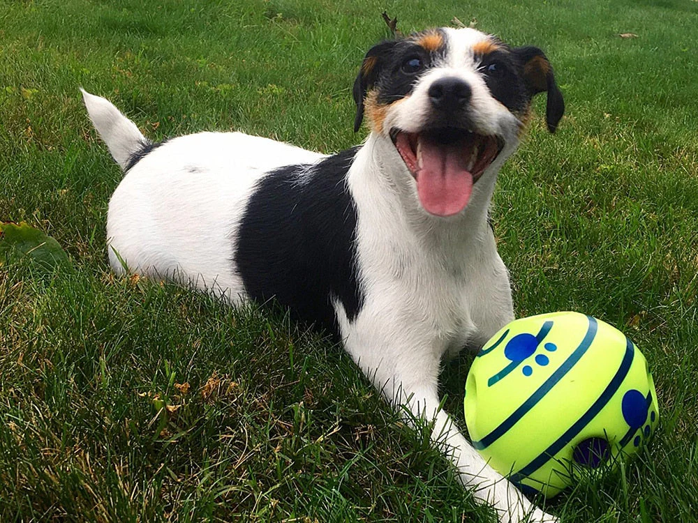 Interactive Dog Ball - GiggleSphere - Image 5