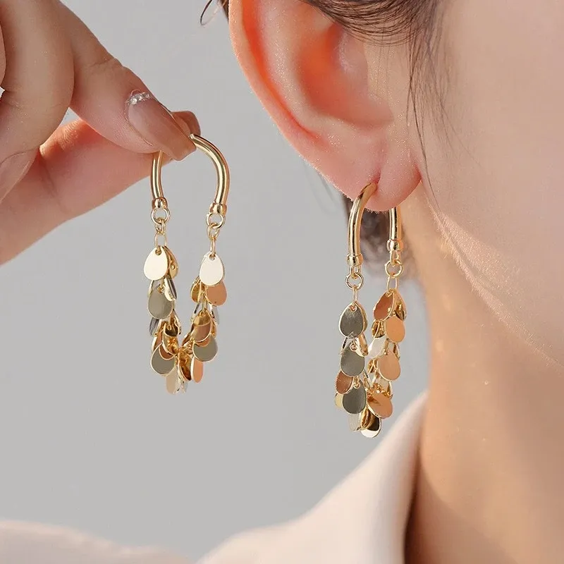 Long Sequin Tassel Earrings - Image 4