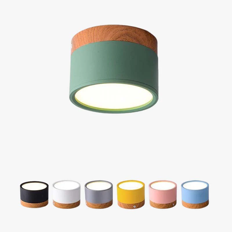 Morandi Style Modern LED Ceiling Lamp - LumiModo