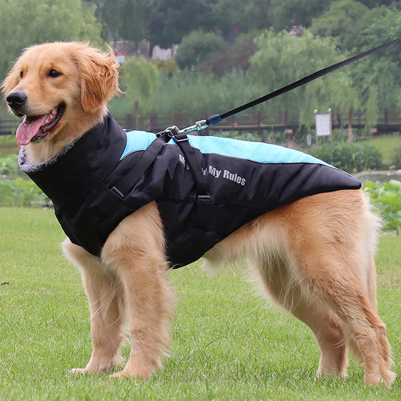 Reflective Dog Jacket with Harness - GlowPaw™ - Image 2