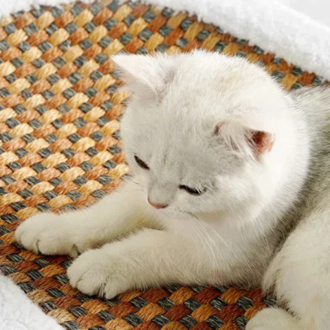 Scratching Bed for Cats - PurrLuxe - Image 2