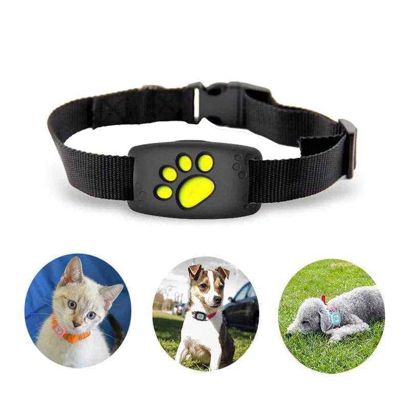 Smart GPS Collar for Cats and Small Dogs – PawTrack - Image 2